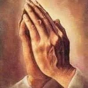 Meet your Posher, Bobbie